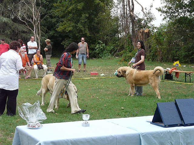 img 038.jpg